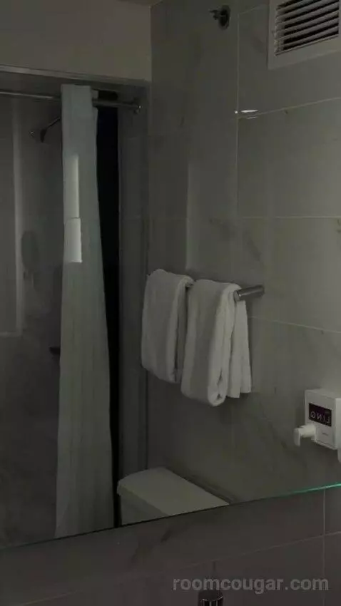 District 3, Deluxe Room, 1 King bathroom picture #1