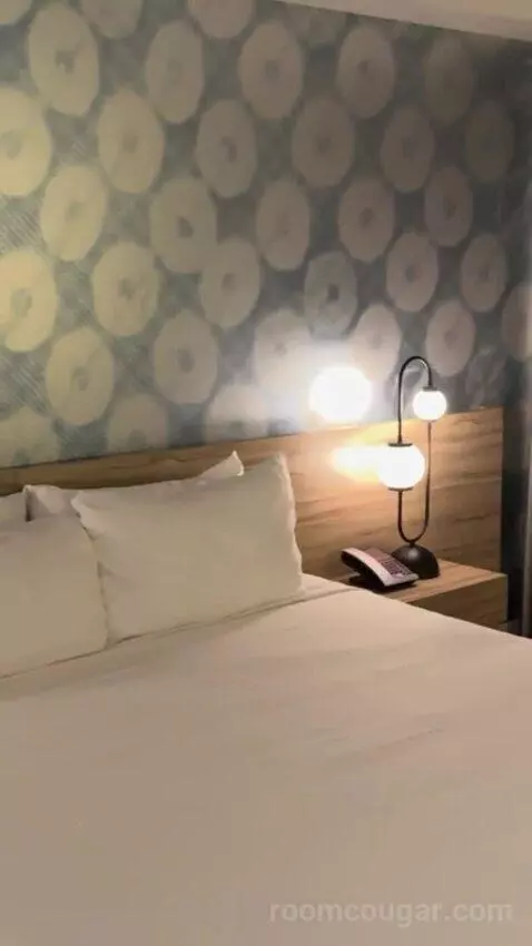 District 3, Deluxe Room, 1 King bed picture #6