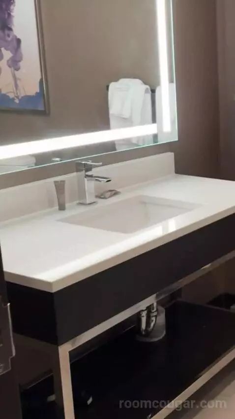 Mountain Tower Deluxe Room, 1 King Bed bathroom picture #3