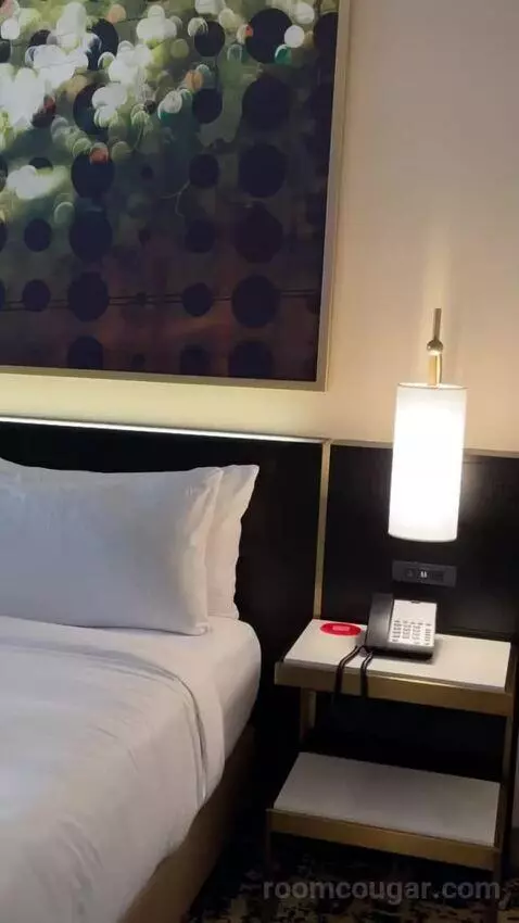 Deluxe King Suite bed picture #1