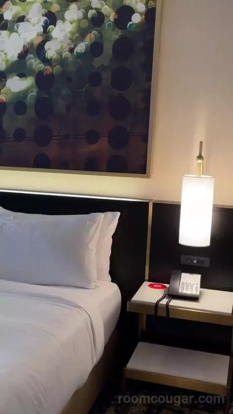 Deluxe King Suite bed picture #3