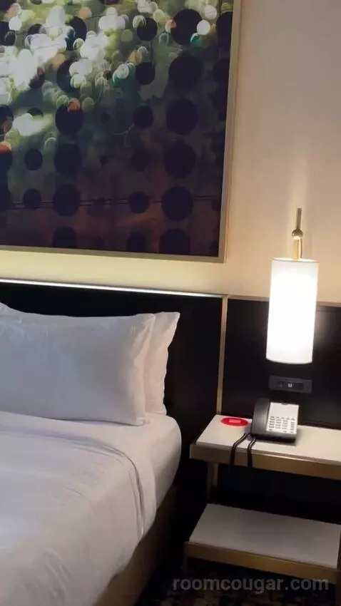 Deluxe King Suite bed picture #4