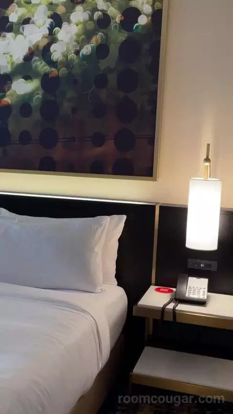 Deluxe King Suite bed picture #5
