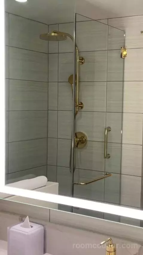 Deluxe King Suite bathroom picture #4