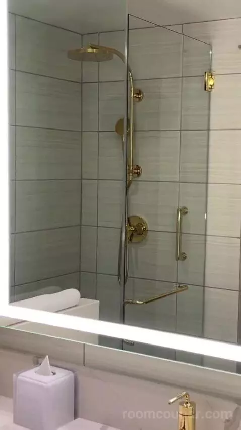 Deluxe King Suite bathroom picture #5