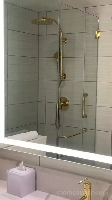 Deluxe King Suite bathroom picture #6