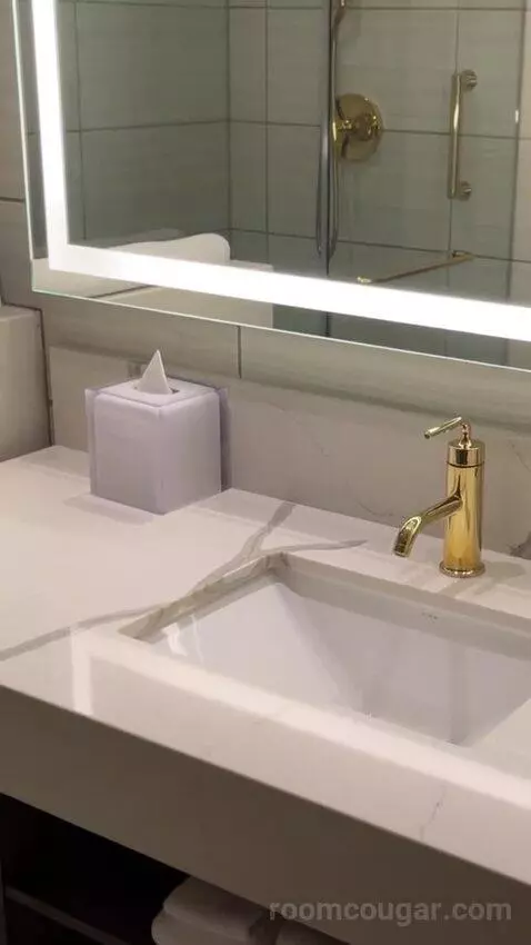 Deluxe King Suite bathroom picture #8