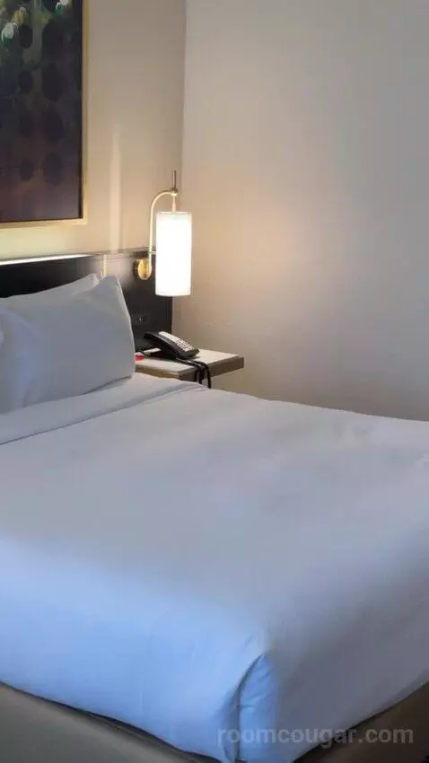 Deluxe King Suite bed picture #6