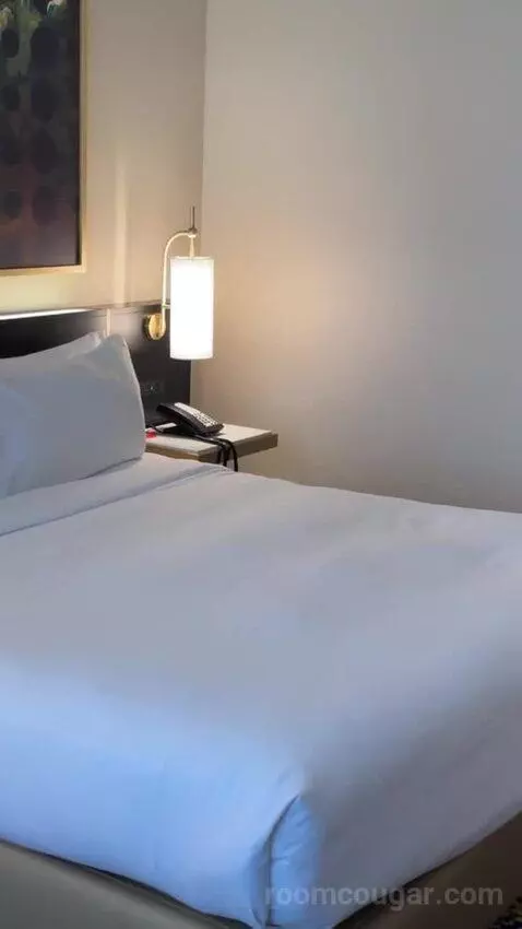 Deluxe King Suite bed picture #7