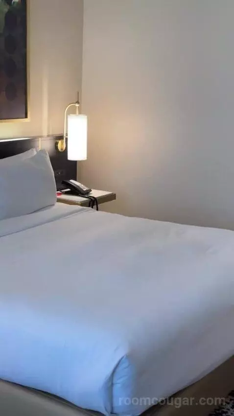Deluxe King Suite bed picture #8