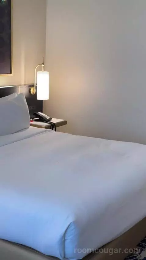 Deluxe King Suite bed picture #9