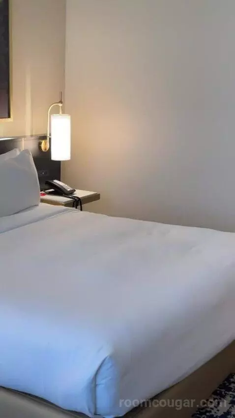 Deluxe King Suite bed picture #10