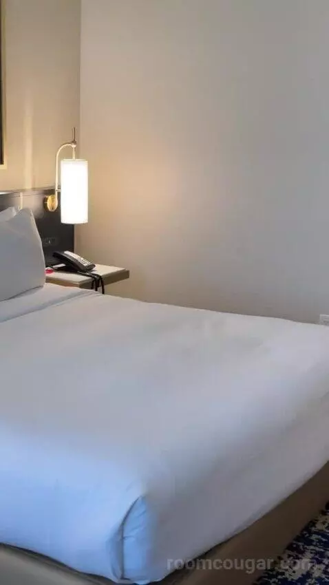 Deluxe King Suite bed picture #11