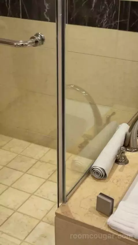 Palazzo Luxury King Suite bathroom picture #8