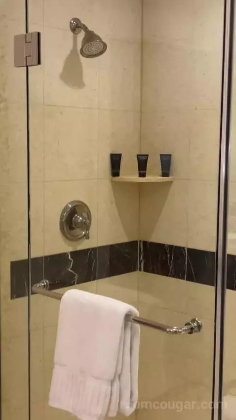 Palazzo Luxury King Suite bathroom picture #9