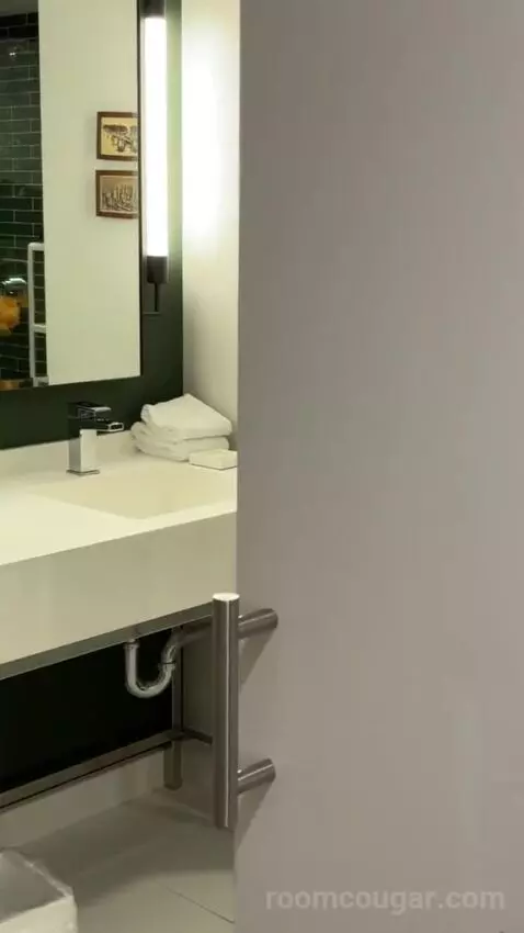 Park Mgm King bathroom picture #2
