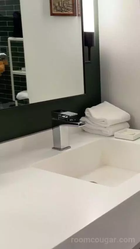 Park Mgm King bathroom picture #3