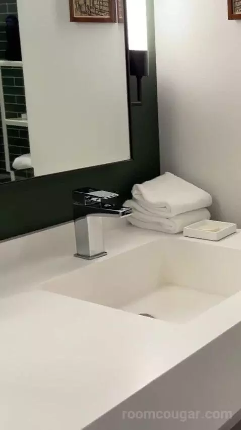 Park Mgm King bathroom picture #4