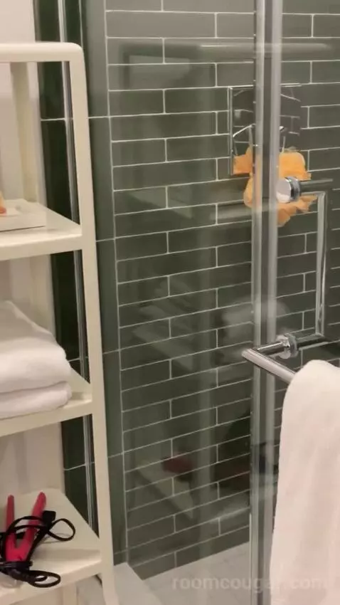 Park Mgm King bathroom picture #9