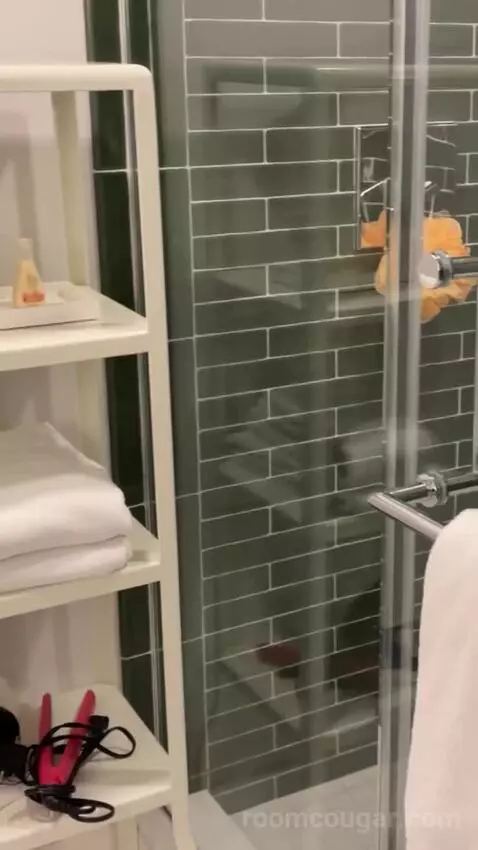 Park Mgm King bathroom picture #10