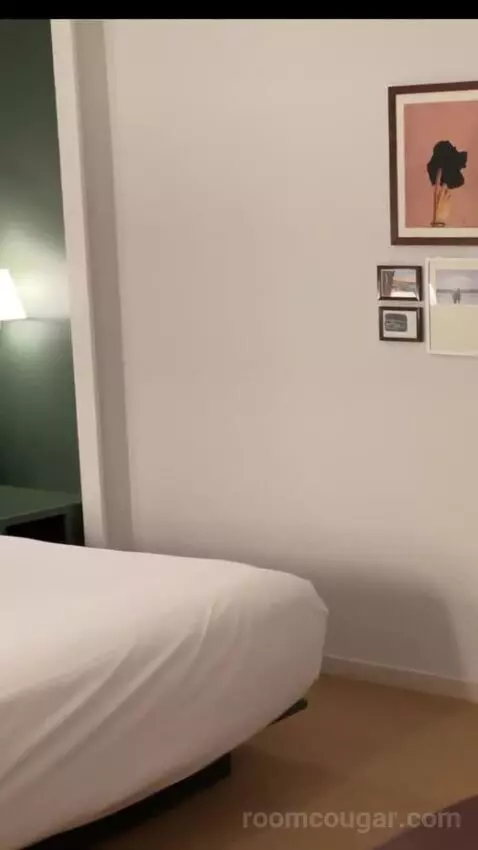 Park Mgm King bed picture #2