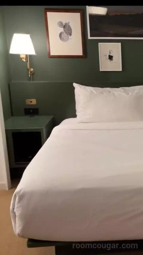 Park Mgm King bed picture #8