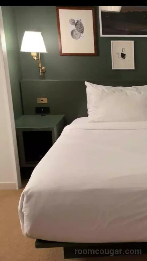 Park Mgm King bed picture #9