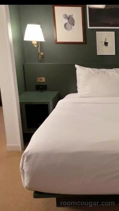Park Mgm King bed picture #10