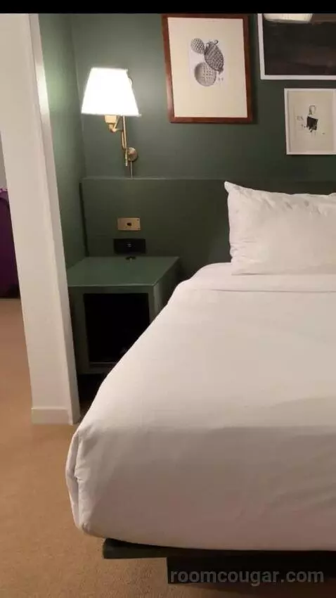 Park Mgm King bed picture #11