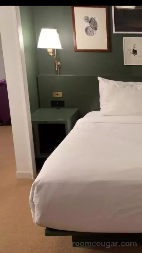 Park Mgm King bed picture #12