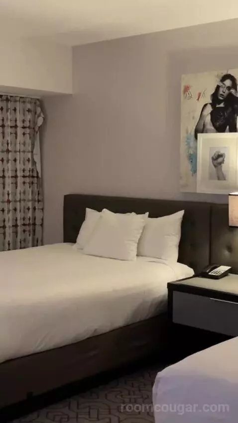 Ultra Hip, 2 Queens bed picture #5