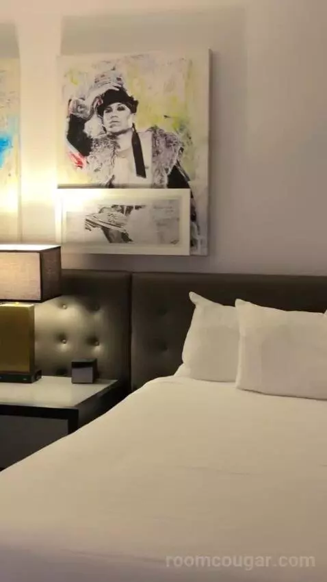 Ultra Hip, 2 Queens bed picture #7