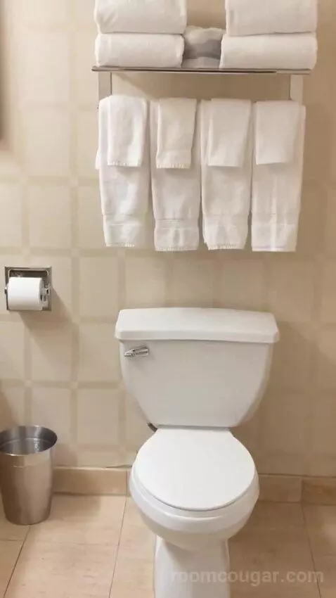 Carson Tower Deluxe King bathroom picture #1