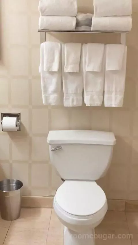 Carson Tower Deluxe King bathroom picture #2