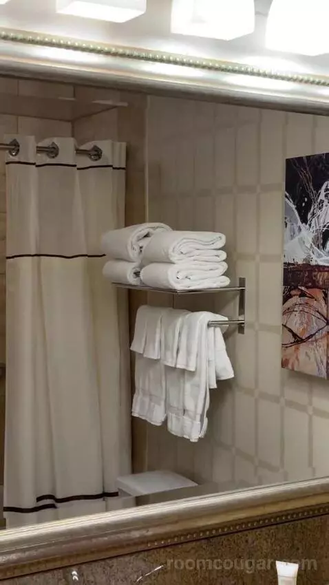 Carson Tower Deluxe King bathroom picture #4