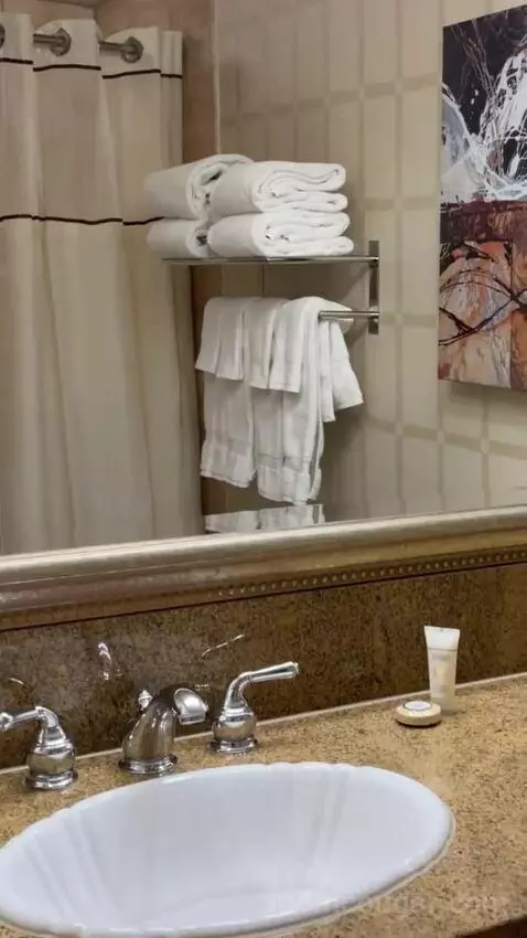 Carson Tower Deluxe King bathroom picture #6