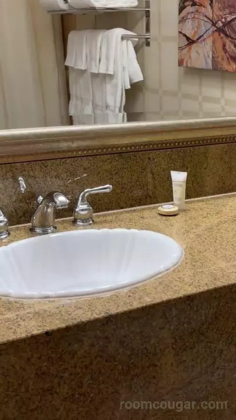 Carson Tower Deluxe King bathroom picture #7