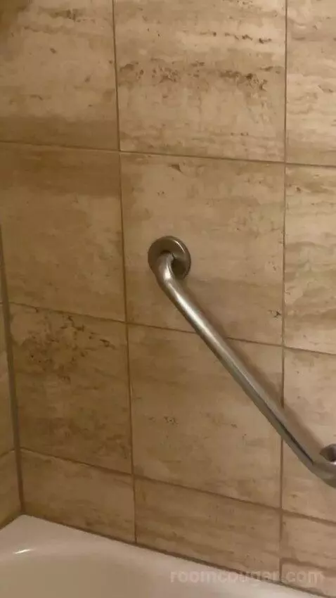 Carson Tower Deluxe King bathroom picture #9