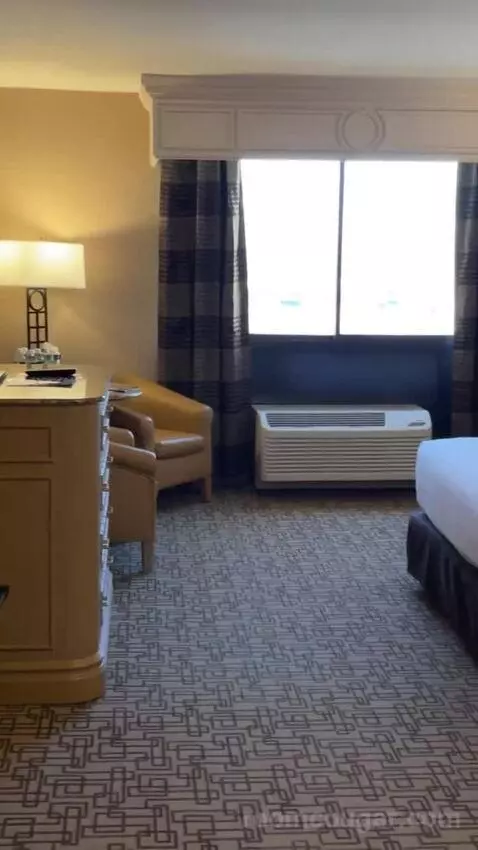 Carson Tower Deluxe King bed picture #2