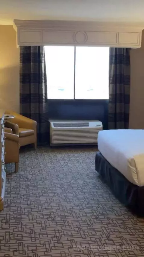 Carson Tower Deluxe King bed picture #5