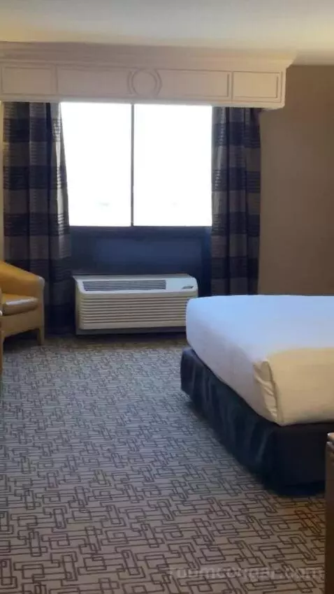Carson Tower Deluxe King bed picture #7
