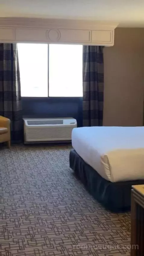 Carson Tower Deluxe King bed picture #8