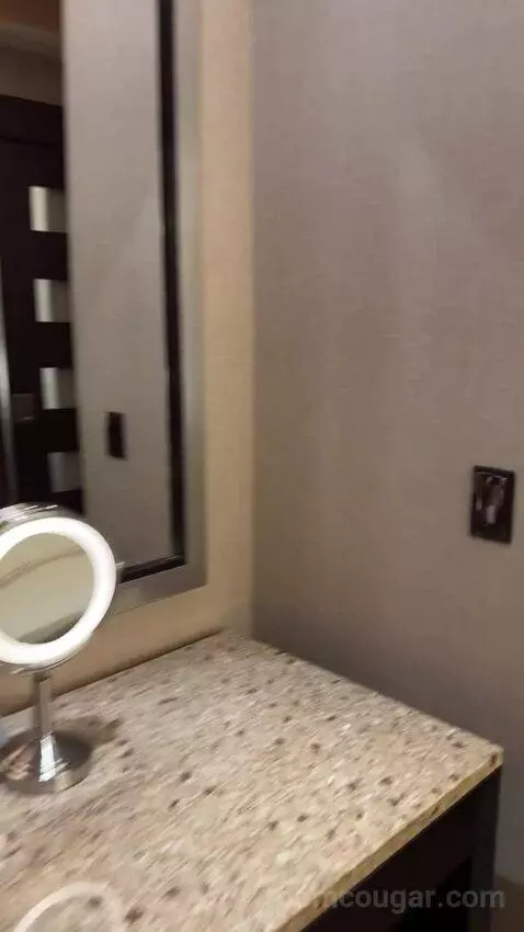 Rush Tower Luxury Suite bathroom picture #5