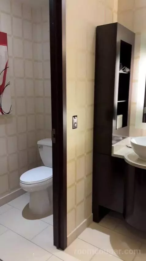 Rush Tower Luxury Suite bathroom picture #7