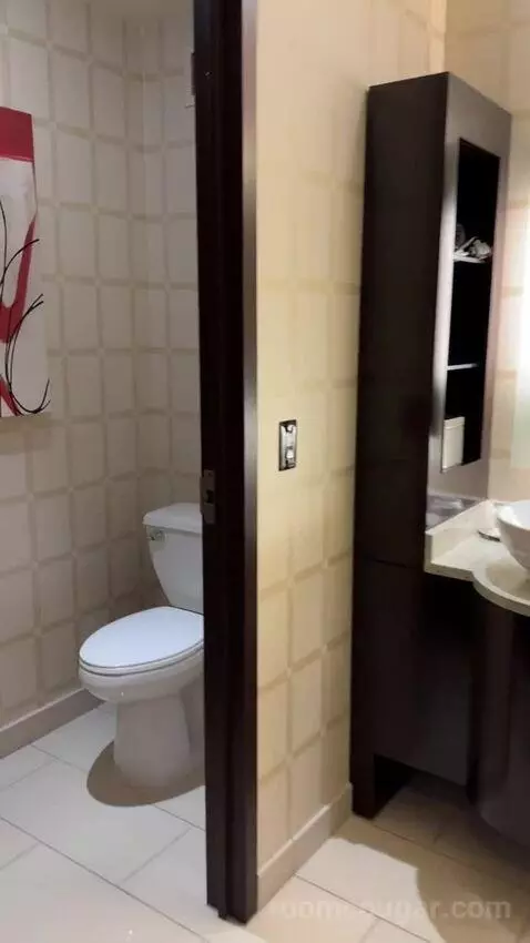 Rush Tower Luxury Suite bathroom picture #8