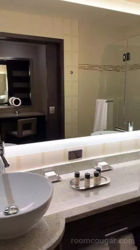 Rush Tower Luxury Suite bathroom picture #9