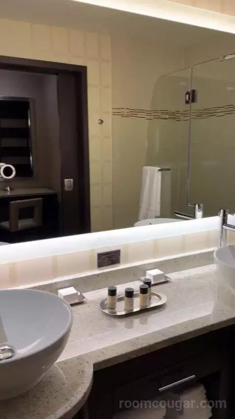 Rush Tower Luxury Suite bathroom picture #10