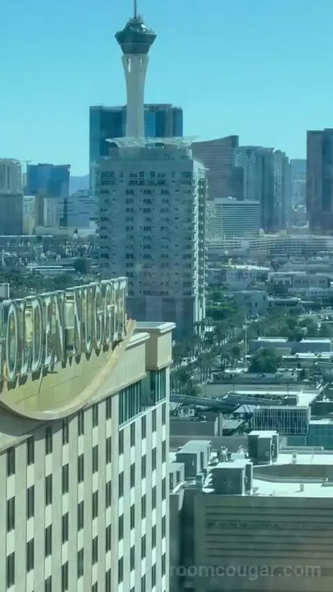 Rush Tower Luxury Suite view picture #1