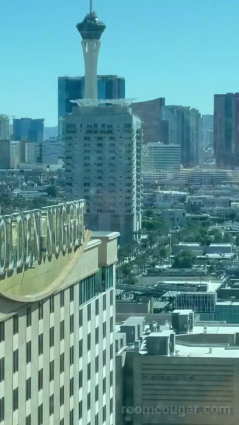 Rush Tower Luxury Suite view picture #2