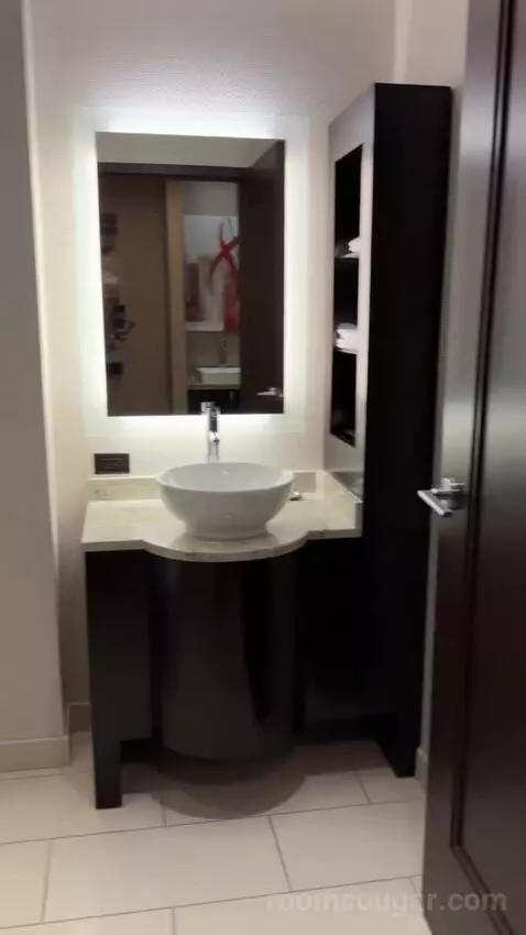 Rush Tower Luxury Suite bathroom picture #4